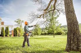 Best Storm Damage Tree Cleanup  in La Quinta, CA